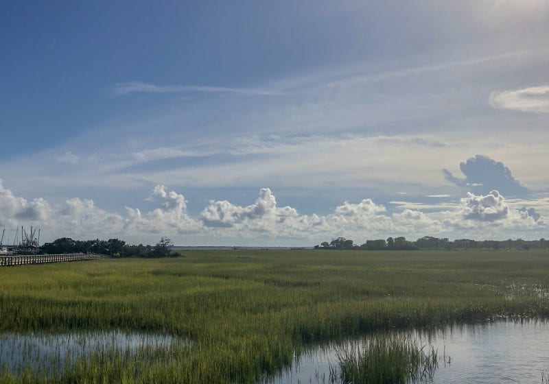 Visiting Charleston, South Carolina