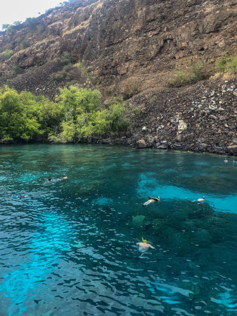 Kona Snorkeling Cruise with Fair Wind Cruises