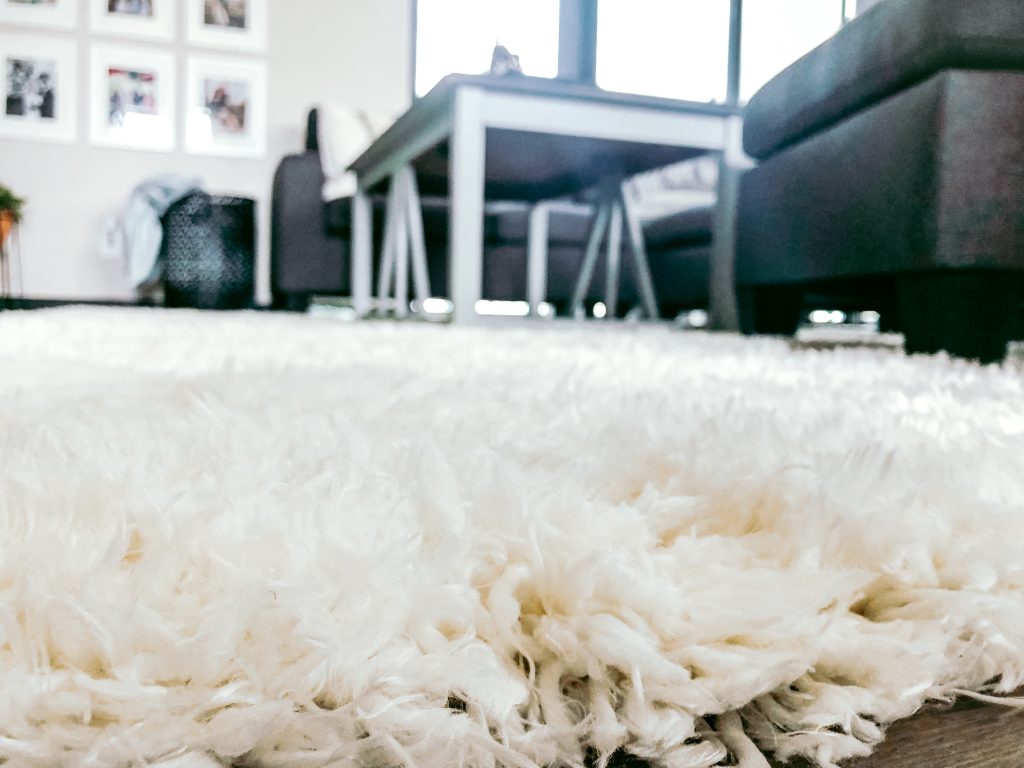 Updating our Living Room with Rugs.com