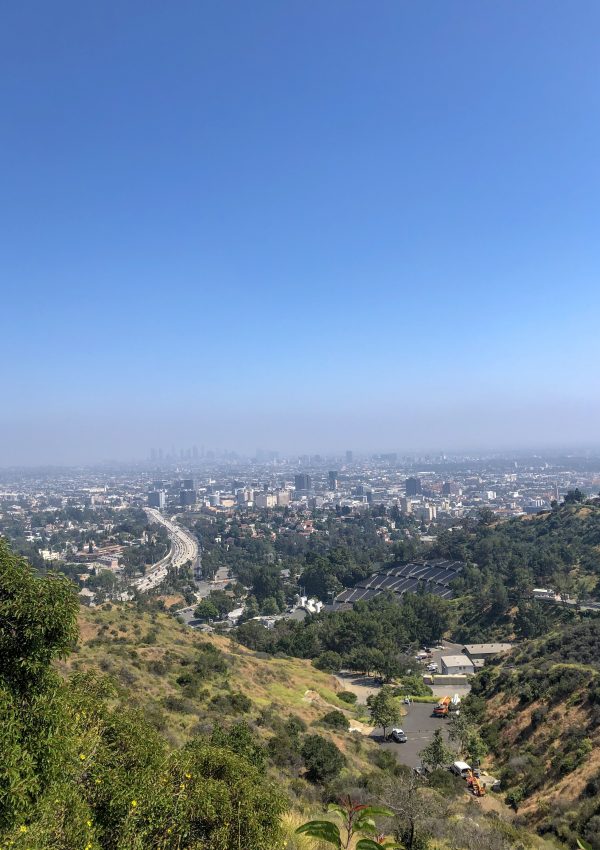 The Quiet Side of Los Angeles: Finding Peace on a Whale Watching Cruise