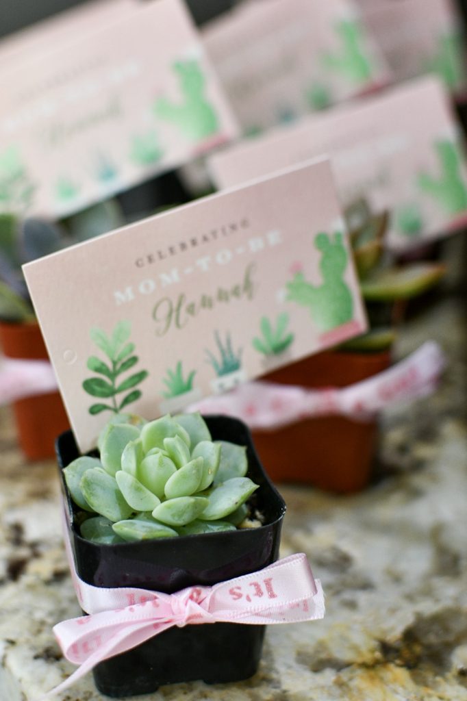 Succulent Themed Baby Shower