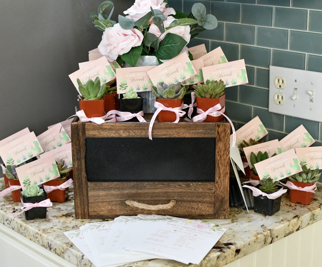 Succulent Themed Baby Shower