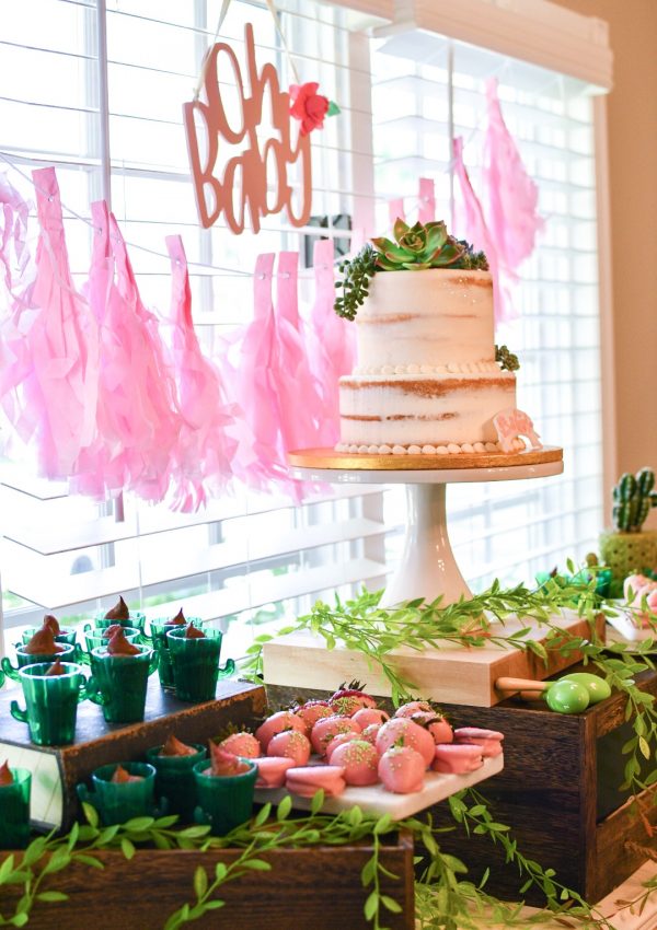 Succulent Themed Baby Shower