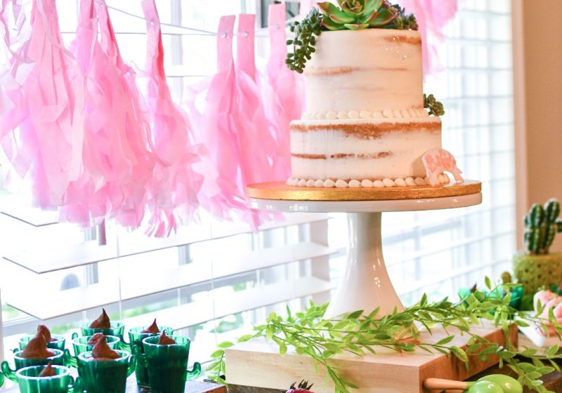 Succulent Themed Baby Shower Cake