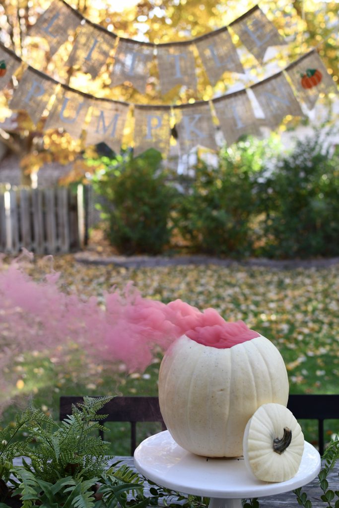 Fall Gender Reveal Pumpkin with Smoke Bomb