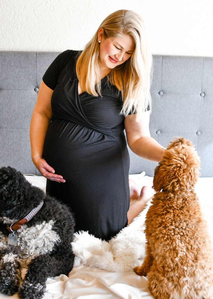 DIY Maternity Photos with Dogs