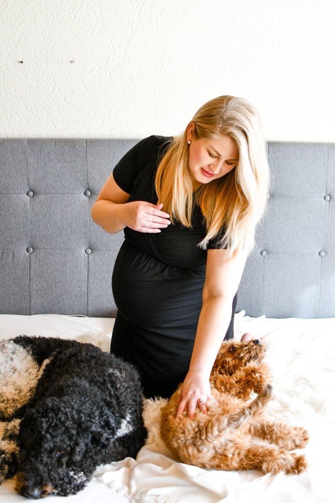 DIY Maternity Photos with Dogs