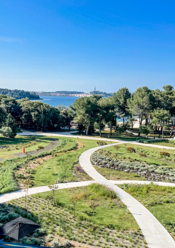 Why More Users Are Turning to Indica Gummies for Stress and Sleep in 2025