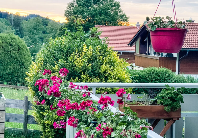You Found Your Dream Home, Now What? 