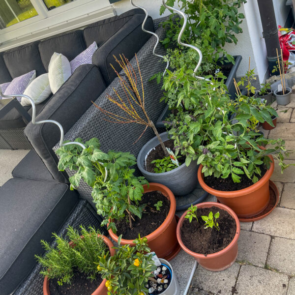 Everyday Habits That Improve Your Home’s Longevity