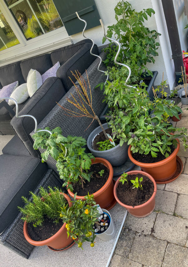 Everyday Habits That Improve Your Home’s Longevity