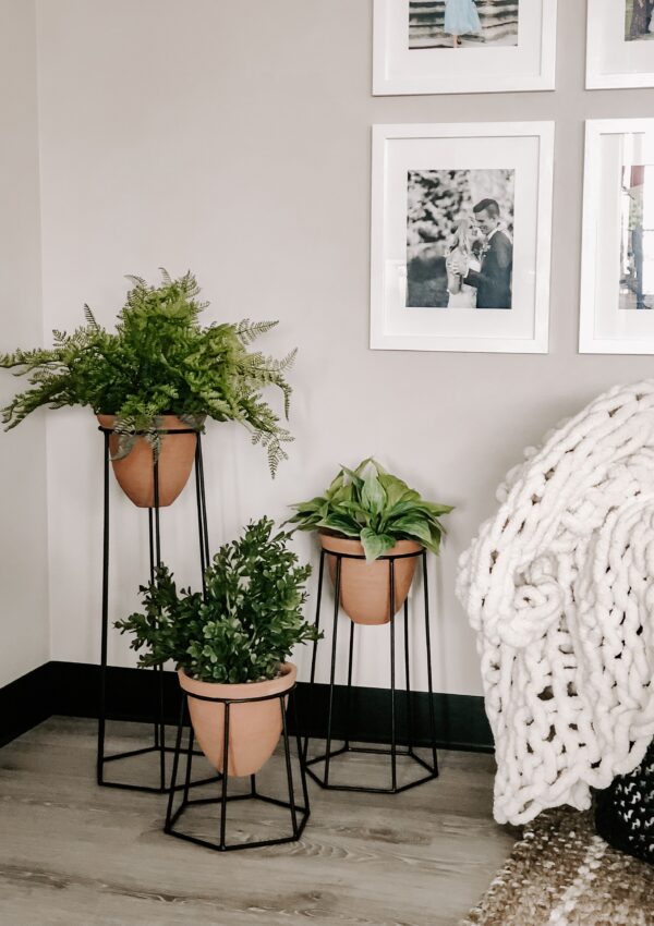 Budget-Friendly Home Upgrades That Look Expensive