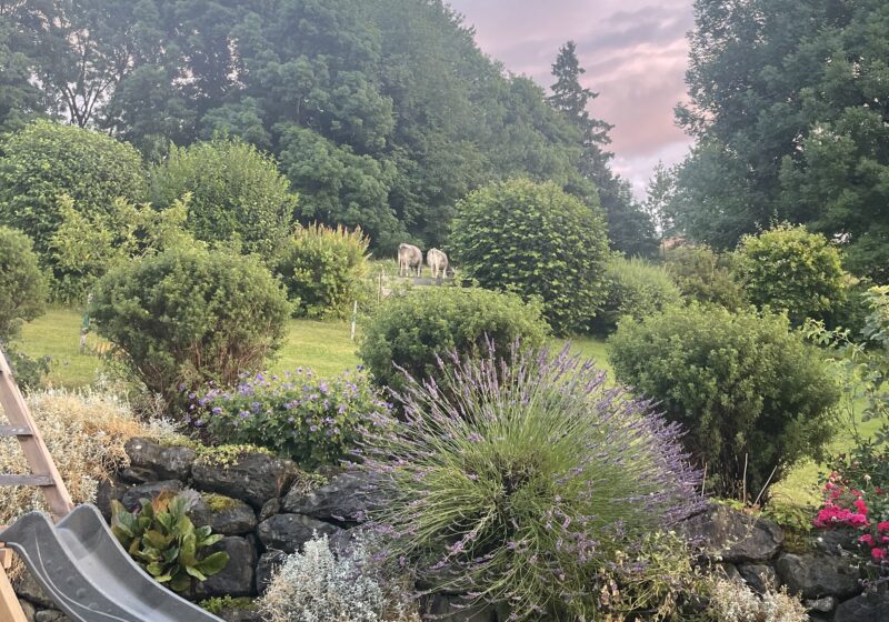 8 Tips For Stunning Outdoor Spaces