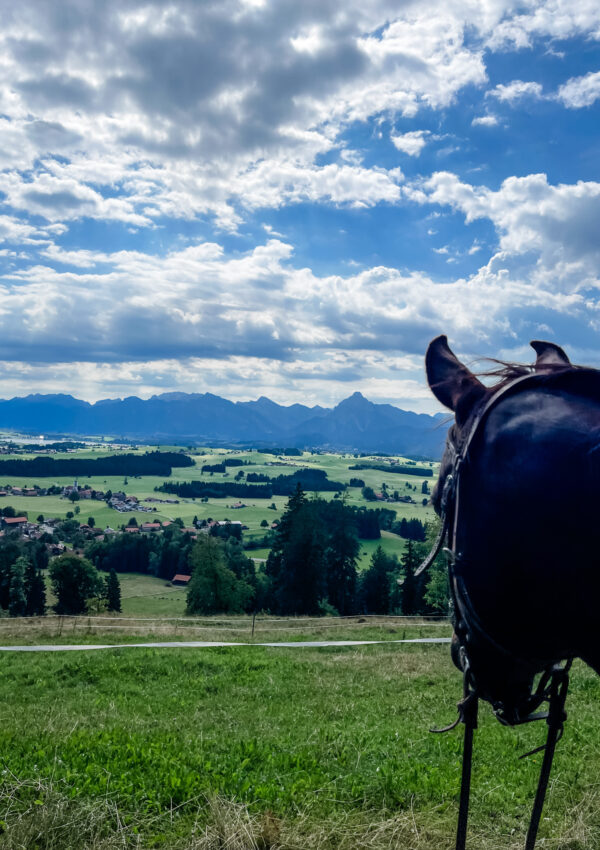 What to Know Before Exploring Mental Health Medication