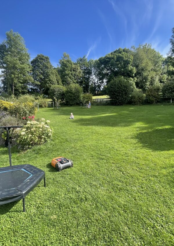 5 Easy Ways to Elevate Your Landscaping