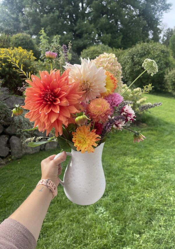 The Homeowner’s Guide to Low-Maintenance Curb Appeal