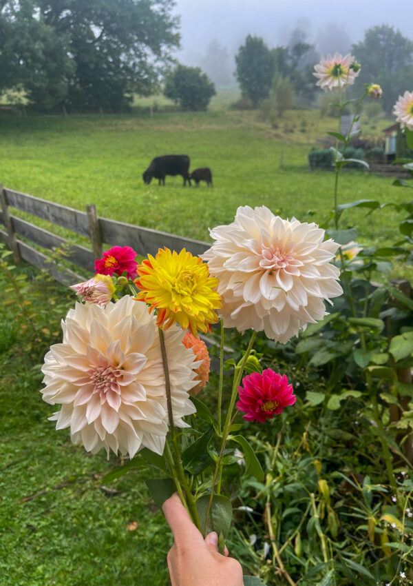 4 Smart Home Maintenance Tips to Keep Rainy Season Stress-Free