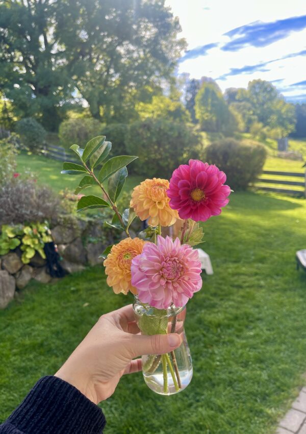 5 Ways a Law Firm Can Strengthen Your Accident Case