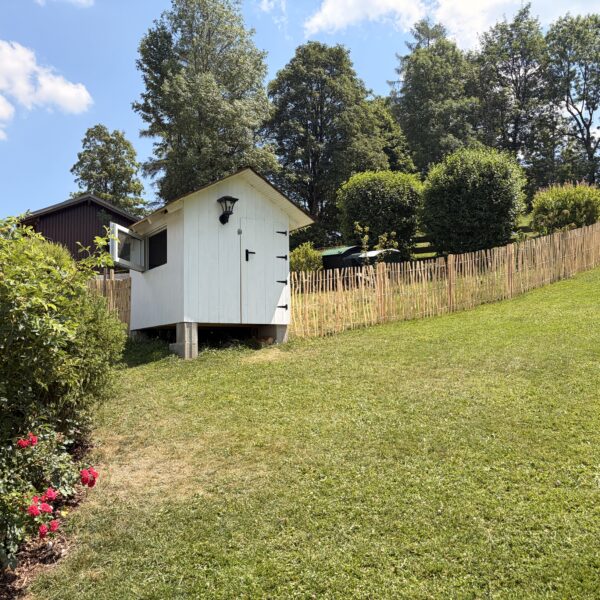 6 Ways Small Yard Grass Makes Your Backyard More Enjoyable
