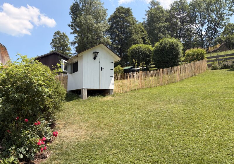6 Ways Small Yard Grass Makes Your Backyard More Enjoyable