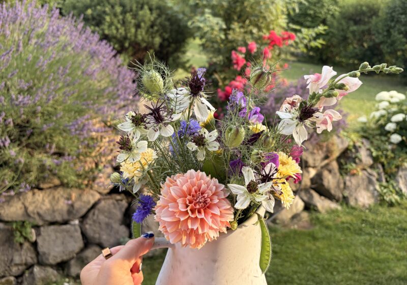Planning for End-of-Life: Peace of Mind for You