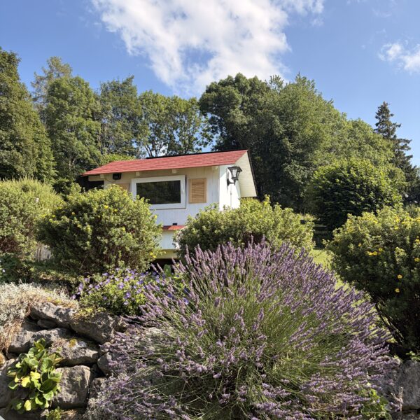 How to Know If Your Property Needs a Full Landscape Design