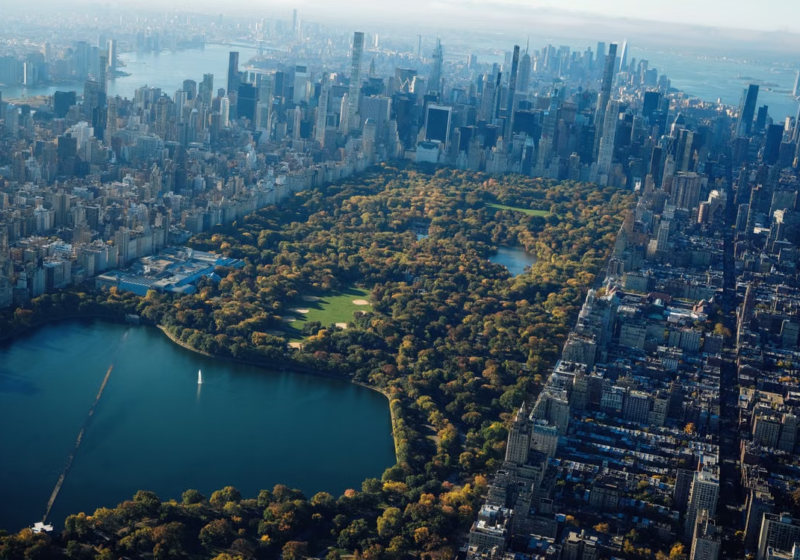 Tips For A Memorable Family Trip To New York