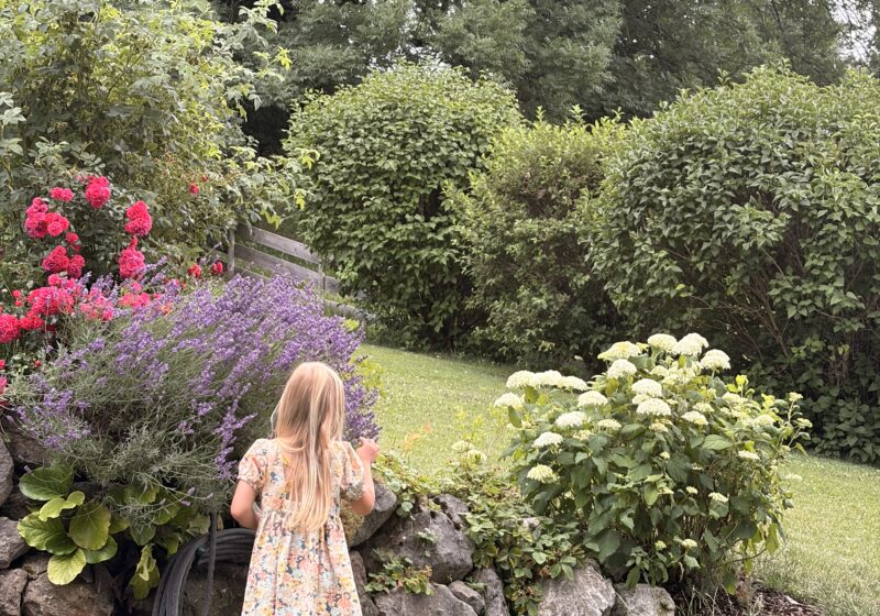Simple Ways to Make Your Backyard Feel More Like a Garden Escape