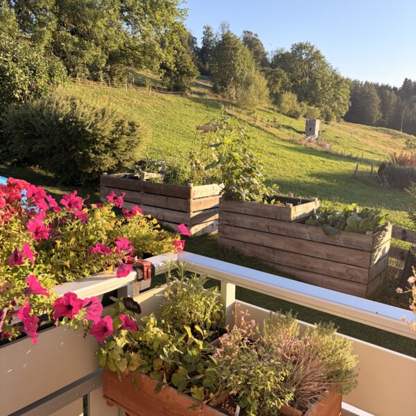 5 Brilliant DIY Projects To Elevate Your Outdoor Living Space