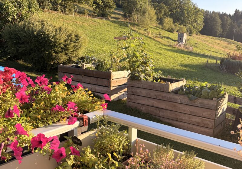 5 Brilliant DIY Projects To Elevate Your Outdoor Living Space