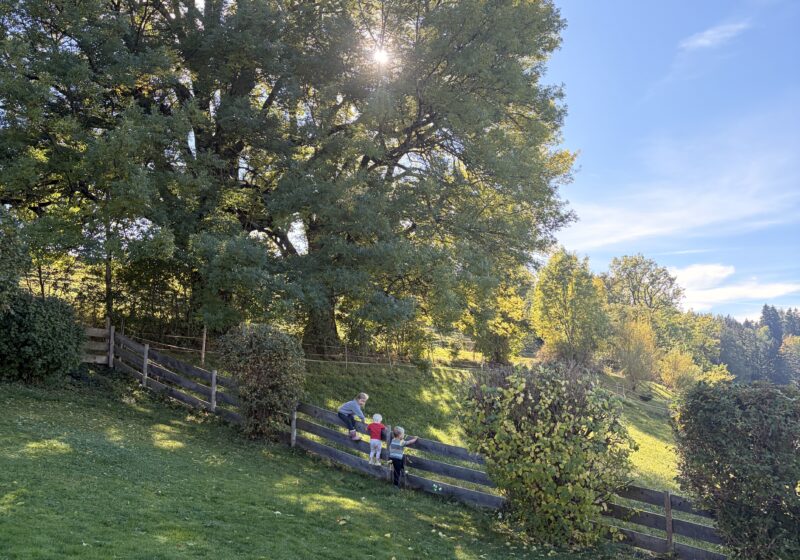 Crafting Your Perfect Outdoor Sanctuary